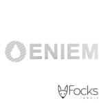 3D metaal logo van Eniem, voor apparatuur, 0,1 mm dik metaal, zilverkleurig vernikkeld en geborsteld, voorzien van overdrachtsfolie en kleeflaag.